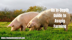 An In-Depth Guide to Asspig Farming - trhicks.com